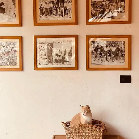 Arega Casa de hóspedes