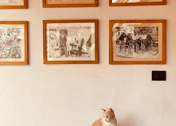 Arega Casa de hóspedes